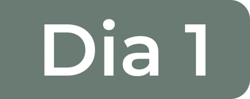 Dia 1