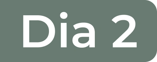 Dia 2
