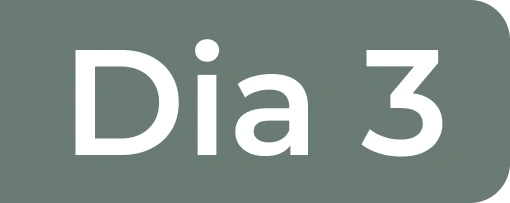 Dia 3