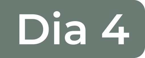 Dia 4