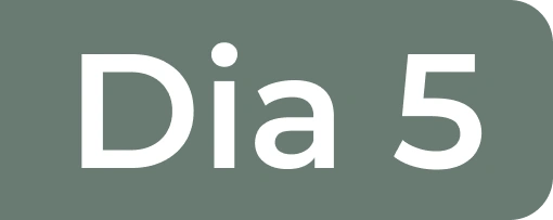Dia 5