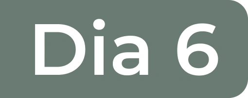 Dia 6
