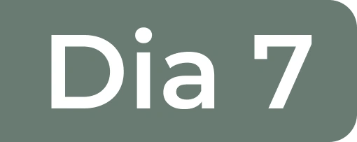 Dia 7